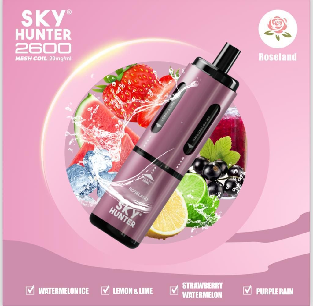 SKY Hunter 2600 4 in 1 Flavors 5 Pcs | Disposable Vape | Best Price | UK
