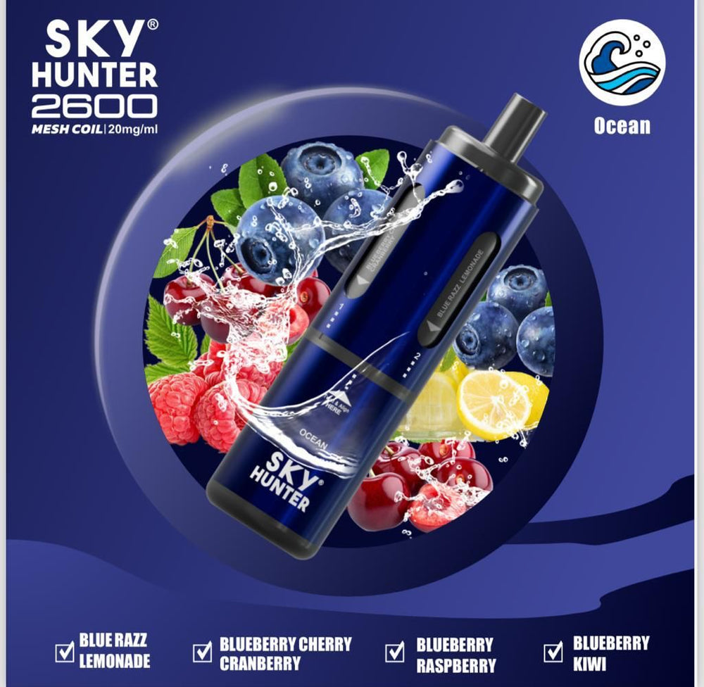 SKY Hunter 2600 4 in 1 Flavors 5 Pcs | Disposable Vape | Best Price | UK